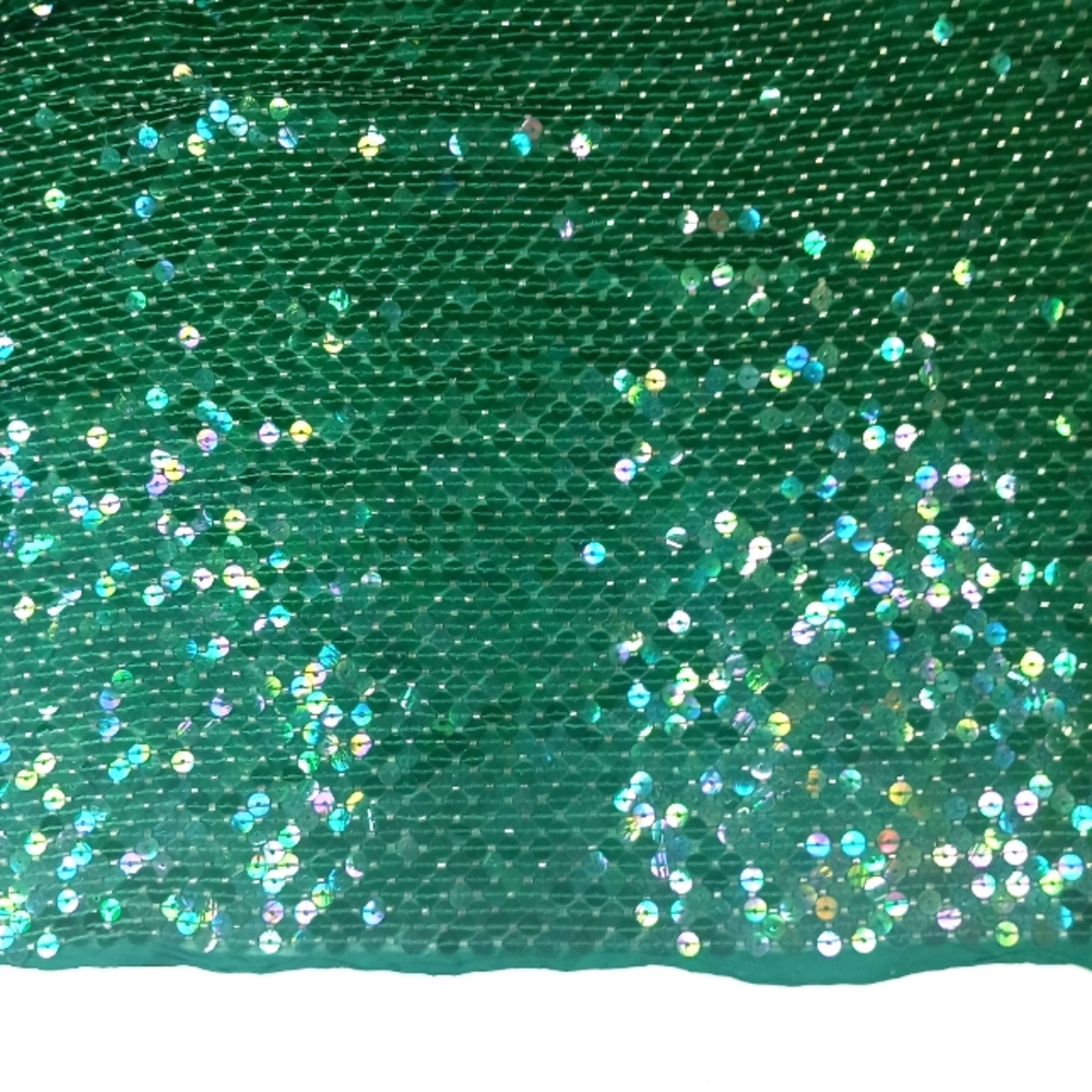 Iridescent Sequins and Clear Glass Beads on Green Silk Chiffon.